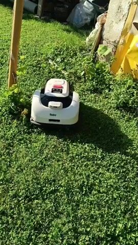 A white and black robotic lawnmower is seen mowing a grassy area. The lawnmower is the primary subject, moving across the green lawn. In the background, there are hints of a garden or yard setting with some plants and what appears to be construction materials or a yellow tarp. The lighting suggests it is daytime, likely sunny due to the shadows cast by the lawnmower and other objects. The overall scene is a typical residential outdoor environment. The robotic lawnmower has "Robo..." visible on its front, suggesting it is a branded product. No people are visible in the media file. The activity is the automated mowing of the lawn.