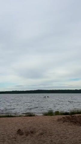 Two people are kayaking on a large body of water. The sky is overcast with clouds. A dark line of trees is visible across the water in the distance. The foreground shows some grass and a sandy shore. The kayaks are moving from left to right. The water is choppy.