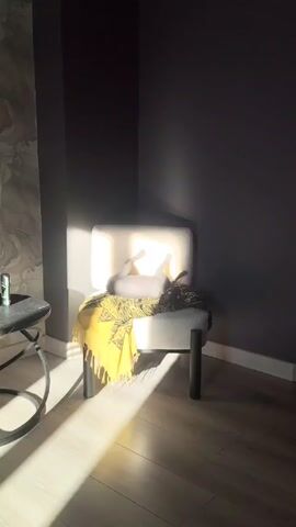 A hairless Sphynx cat is laying on its back on a white chair with a yellow blanket, basking in a sunbeam. The chair is in the corner of a room with dark grey walls and a light wood floor. A small black table with a marble top is visible to the left.