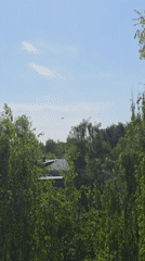 Early Morning Life Captured Across Chaikovsky, Russia
