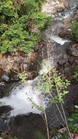 The video shows a small, rocky river viewed from above. The water rushes over rocks, creating small rapids. Green foliage lines the riverbanks. There is visible trash along the riverbanks.