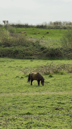Quiet afternoon moments captured around Maidstone countryside and waterways