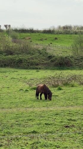 Quiet afternoon moments captured around Maidstone countryside and waterways