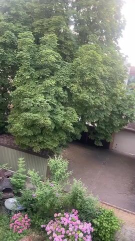 This is a panning video of an outdoor area. In the foreground, there is lush green foliage and a cluster of pink hydrangeas. Behind the foliage, there is a paved courtyard with a large garage door. Further back, there are large trees with dense green leaves, and a brick building with a flat, dark roof covered in debris. In the distance, a modern building can be seen, and a white truck with a red accent is parked. The lighting suggests it is either early morning or late afternoon.