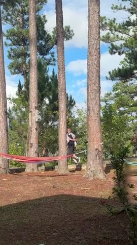 Three people are running in and out of frame around trees. One person in a black shirt and red shorts runs from right to left and disappears behind a tree. Another person in a white shirt and grey pants runs from left to right. A third person in a brown shirt and grey pants stands facing to the left and then turns to look to the right. A red hammock is strung between two trees. The ground is covered in pine needles. The sky is blue with some clouds.