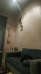 Nighttime interior footage shows pink room with gray sofa