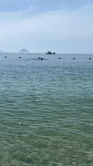 Nha Trang beachfront: clear water, quirky sculptures, tropical bar scene