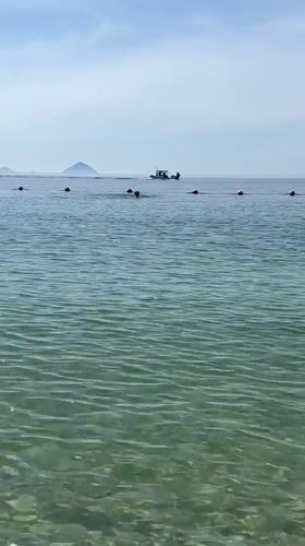 Nha Trang beachfront: clear water, quirky sculptures, tropical bar scene
