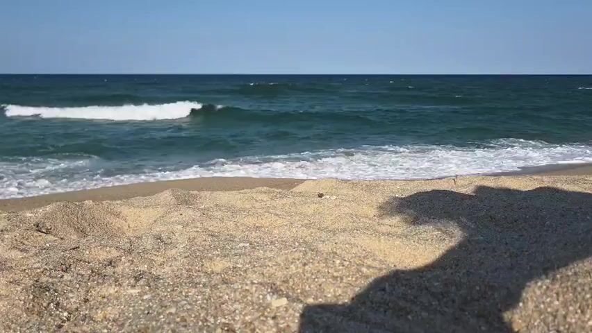 The video shows a low-angle view of a sandy beach with gentle waves rolling onto the shore. The ocean is a deep blue-green, and the sky is clear and bright. The sand in the foreground is coarse and light-colored, with some small shells visible. The shadow of something, possibly a beach umbrella or a person, is cast on the sand to the right of the frame. The waves are white and foamy as they break on the shore. The overall scene is peaceful and serene, evoking a sense of summer vacation and relaxation.