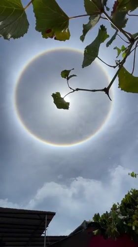 Solar halo phenomenon observed in Altagracia, Venezuela