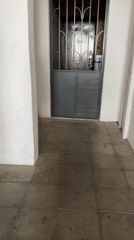 Golden retriever runs across tiled floor in Tbilisi building