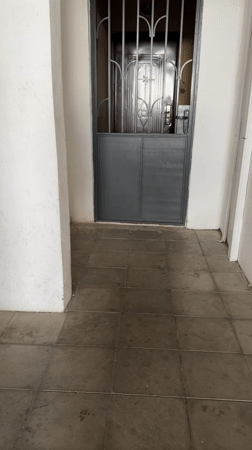 Golden retriever runs across tiled floor in Tbilisi building