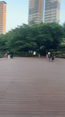 Seoul waterfront draws relaxed crowds, koi fish spotted