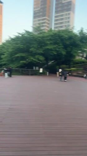 Seoul waterfront draws relaxed crowds, koi fish spotted