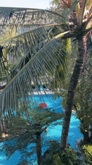 Wine toast captured at tropical resort in Kuta Selatan