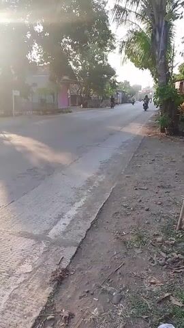 A handheld, low-angle, medium shot shows a quiet rural road at sunrise or sunset. The camera is positioned near the edge of the paved road, looking down the road. In the foreground, the road is bordered by a dirt shoulder with sparse vegetation. A white line marks the edge of the pavement. In the midground, the road is empty for a moment, then a person on a scooter rides by from left to right. In the background, trees line the left side of the road, and houses and more trees are visible on the right. The sun is low in the sky, casting long shadows and creating a bright glare on the left side of the frame. The overall atmosphere is peaceful and serene.