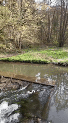 Forest river waterfall documented near Freudenburg, Germany