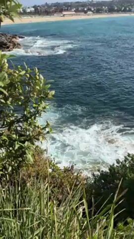 The video shows a coastal scene. From a vantage point overlooking the ocean, waves crash against rocks along the shoreline. Green foliage, including trees and tall grasses, frames the view. In the distance, a sandy beach is visible with buildings along the coastline. The water is a mix of deep blue and turquoise colors. The sky appears bright and clear.