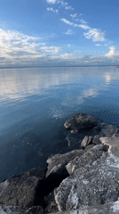 Afternoon coastal scenes documented across Burgas waterfront locations