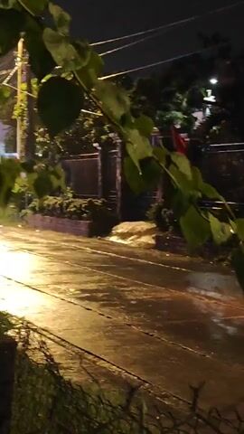 The video captures a nighttime scene on a wet street, likely during or after rain. A streetlamp illuminates the area, casting a warm glow on the asphalt. Lush green foliage hangs over the street from an unseen source, creating a natural frame for the shot. In the middle ground, a few buildings and structures are visible, some adorned with what appear to be flags. The most prominent action is a lone individual on a motorcycle, moving from right to left across the frame. The motorcycle rider is partially obscured by their vehicle and the low-angle perspective. The wet pavement reflects the light, creating streaks and shimmering patterns. The overall atmosphere is somewhat tranquil, with the sound of rain and the distant hum of the motorcycle.