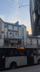 Quiet afternoon in Ternopil features sleepy cat, street scenes