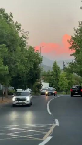 The camera is stationary, positioned behind a car that is stopped on a paved road. The road curves gently and is lined with green trees on either side. In the distance, there are mountains under a sky painted with soft pink hues at the horizon. Several cars are driving along the road. One car is white and heading away from the camera, and a dark car is heading towards it.