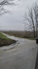 Morning drive captured on wet Bulgarian roadway