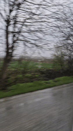 Morning drive captured on wet Bulgarian roadway