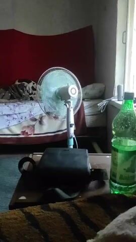 A fan is operating in a room. The fan is white and has a blue-green oscillating head. It is positioned on a table or stand in front of a bed. The bed is covered with a blanket that has a floral pattern. Behind the bed is a red headboard. To the right of the fan is a green plastic bottle. The room appears to be dimly lit.