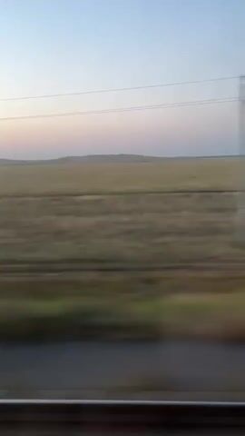 The video shows a view from a moving train. The landscape is a vast, flat field of dry grass under a pale sky with a faint pink hue near the horizon, suggesting either dawn or dusk. There are faint indications of parallel lines, likely train tracks, in the foreground, and a faint blurry horizontal line further in the distance, possibly more tracks or a dirt road. A single power pole is visible on the left side of the frame, and a faint, distant structure, possibly another pole or a small building, is on the horizon. The overall impression is one of open, rural space seen from a moving vehicle.
