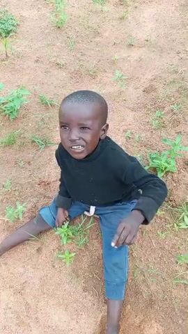 A young child sits on sandy ground amidst sparse green vegetation. The child is wearing a black long-sleeved shirt and blue pants. The child's legs are spread apart, and the child is looking towards the camera. The child blinks and smiles at one point. The child's right arm is extended towards the camera, and the child then touches their forehead with their right hand. The child is wearing sandals on their feet.