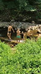 Kids swim in a rocky Bulgarian stream beside a deer