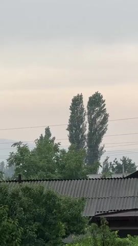 The video shows a cloudy sky above a few trees and the corrugated roof of a building. Two tall, slender trees stand in the middle of the frame, their tops reaching into the sky. A cluster of green trees is visible in the foreground, obscuring the lower part of the scene. The overall impression is one of a quiet, natural setting, possibly on an overcast day. There are no people or any clear actions or interactions depicted.