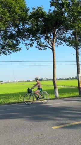 The video shows a roadside scene in a rural area. Initially, a motorbike with two passengers drives past, then the camera pans to show a water buffalo eating hay near the road. A man is visible near the buffalo. Cars and motorbikes continue to pass along the road. The environment includes a field of lush green grass, trees lining the roadside, and clear blue skies. Buildings are visible in the distance.