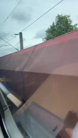 The video provides a view from inside a moving train, looking out a window at an adjacent freight train passing by on a parallel track. The passing train is predominantly rusty red and brown, showing signs of wear and featuring several instances of graffiti. Notably, the word "SCREEN" or "ECRENE" is faintly discernible in white spray paint on its side, partly obscured by reflections on the viewer's window.

The background reveals an overcast sky with visible clouds, overhead power lines and structures typical of a railway, and green tree foliage above the passing train. The lighting indicates daytime. The scene depicts a typical railway environment, consistent with the provided context of Buxtehude, Germany. The soundscape includes distant train noises and muffled conversation.