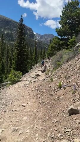 A group of people are hiking up a rocky mountain trail on a sunny day. The trail is narrow and covered in loose rocks and dirt. Tall pine trees line the left side of the trail, and more sparse vegetation covers the right side. In the background, jagged, snow-capped mountains rise against a bright blue sky with scattered white clouds. The people are spaced out on the trail, with the closest person in the foreground wearing a blue shirt and dark shorts.