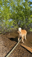 Casual lakeside outing captured in Ольховка, Russia