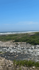 River flows to ocean through rocky terrain in Arica