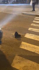 Abandoned black boots left in Barcelona crosswalk at night