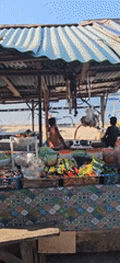 Morning coastal life documented at Indonesian fishing community waterfront