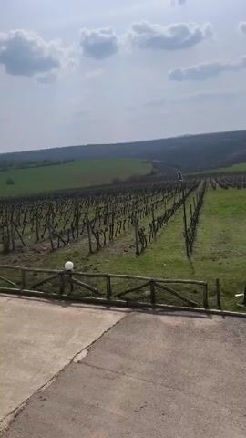 The video shows a view overlooking a vineyard on a partly sunny day. The vineyard consists of rows of dormant grapevines stretching into the distance towards gently rolling hills. In the foreground, there is a small, decorative wooden fence and a concrete walkway. To the right of the walkway, there is an old, weathered rowboat with a white light fixture attached to it. Further to the right, a pink and a yellow miniature vehicle can be seen parked on the grass. The sky is light blue with scattered puffy white clouds.