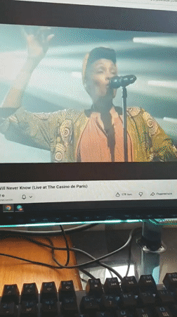 Live concert performance, stage lighting, crowd in attendance