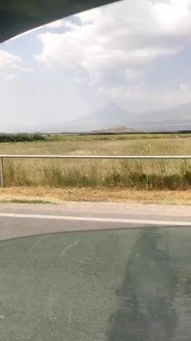 The video shows a view from a vehicle moving along a road. A metal railing runs horizontally across the middle of the frame, separating a paved surface in the foreground from a grassy field and a line of trees in the background. Beyond the trees, a mountain looms in the distance under a hazy sky. The sun is visible, and the lighting suggests it is daytime. The grass in the field is dry and yellow, indicating a warm season. There are no people visible in the frame, and no specific actions are taking place beyond the movement of the vehicle.