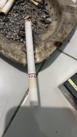 The video shows a close-up, overhead view of a cigarette pack, a cigarette, an ashtray full of ashes and cigarette butts, a lighter, and a mug of coffee on a tiled surface. The cigarette pack is black with a red and gold logo of a bull. The cigarette is white with a red band and appears to be lit, as evidenced by the glowing ember. The ashtray is round and metallic, filled with ashes and several extinguished cigarette butts. A blue and yellow lighter is positioned next to the cigarette pack. A clear mug filled with a dark liquid, presumably coffee, is also visible. The lighting suggests the scene is indoors, possibly in a dimly lit room. The camera pans slightly across the objects, providing a clear view of each item.