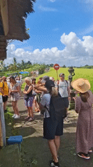 Tourists explore green rice fields in Penebel, Indonesia
