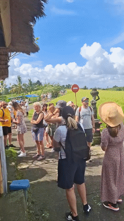 Tourists explore green rice fields in Penebel, Indonesia