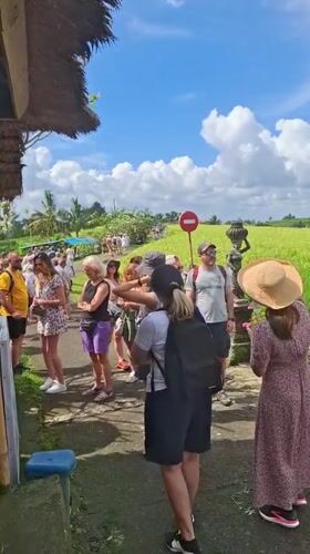 Tourists explore green rice fields in Penebel, Indonesia