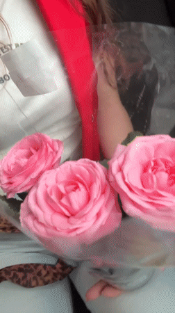 Woman holds pink roses in car in Kryvyi Rih