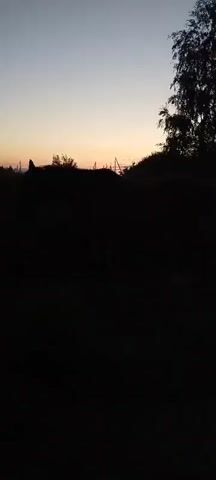 A brown horse stands in a field of tall grass at dusk. The sky is a pale orange and purple, and the sun has set. There are trees in the background. The horse is silhouetted against the sky.
