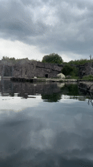Zoo visitor documents animals, exhibits during rainy morning visit
